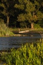 River Biebrza, Podlasie-Poland Royalty Free Stock Photo