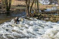 The river big Ohe in Grafenau at high water in spring, Germany