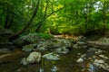 River Bijela at Spring afternoon Royalty Free Stock Photo