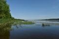 River and birch grove. Forests of coniferous and deciduous trees. Reed reeds and water lilies