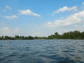 river birds in mase along river delta channels