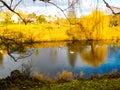 River birds yellow sky sunshine reflections nature