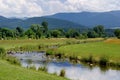 River in black forrest Royalty Free Stock Photo