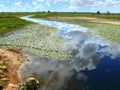 The River blooming algae. Africa, Mozambique.