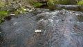 River with blue water and rapids in the forest. Green grass and large boulders on the shore Royalty Free Stock Photo