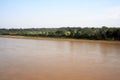 river bank with view to other shore in Puerto Maldonado in Peru and the Amazon Royalty Free Stock Photo