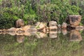 river bolders with reflection and jungle Royalty Free Stock Photo