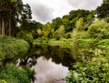 River bollin Royalty Free Stock Photo