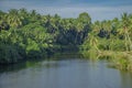 River bounds by vegetation in the rural area of Malaysia.