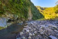 River at Bras de la Plaine at Reunion Island Royalty Free Stock Photo