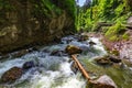 River Breitach in a gorge Royalty Free Stock Photo