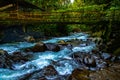 River and Bridge in the Mindo Cloud Forest of Ecuador Royalty Free Stock Photo
