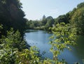 Wild river, wild ducks and shore vegetation Royalty Free Stock Photo