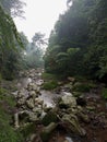 river in Bunder mountain after rain Royalty Free Stock Photo