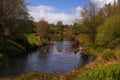 a river in Burk Gilman trail in Redmond, Wahingron