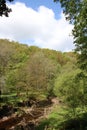 River Calder in woodland, Calder Vale, Lancashire