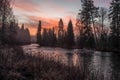 River calm surrounded by the dense forest with the pink sunset in the background in Lapland Sweden Royalty Free Stock Photo
