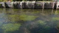 River Calonne in Cormeilles, Normandy France