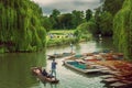 Punting & Picnicking A very British Experience on The River Cam 