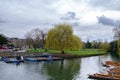 River Cam in Cambridge, England with moored punts at the shore Royalty Free Stock Photo