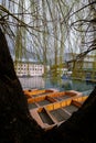 River Cam in Cambridge, England with moored punts at the shore Royalty Free Stock Photo