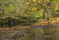 River beside canal path at Uppermill