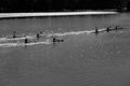 River Canoeing Paddlers Training Overhead Landscape