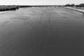 River Canoeing Paddlers Overhead Landscape Vintage