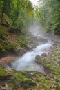 River in Canyon Vintgar - Slovenia Royalty Free Stock Photo
