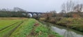 The River Cary is a river in Somerton in the county of WessexSomerset, England. Royalty Free Stock Photo