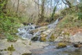 River cascade on forest in mountain Royalty Free Stock Photo