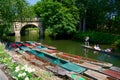 Punting and River Cherwell landscape from the gardens Royalty Free Stock Photo