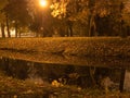 Night shooting a river in a city park Royalty Free Stock Photo