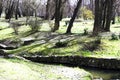 River in the city park