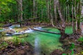 A river with clear water in the thick shady jungles