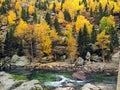 River and Colorful Forest In Autumn