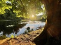 River Cong (Ireland)