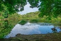 River Cong in Ireland