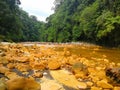 River in Costa Rica, San Carlos