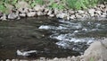 River course with eddies and rapids through stones