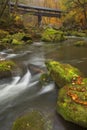 River with a covered bridge in a forest in autumn Royalty Free Stock Photo