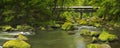 River with a covered bridge in a lush green forest Royalty Free Stock Photo