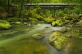 River with a covered bridge in a lush green forest Royalty Free Stock Photo