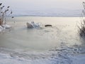 River is covered with ice and snow. The banks overgrown with reeds Royalty Free Stock Photo