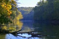 River covered with mist in early morning with autumn trees on the bank Royalty Free Stock Photo