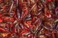 River crayfish on the counter of the Chinese market. Prepared according to national recipe. Royalty Free Stock Photo