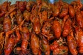 River crayfish on the counter of the Chinese market. Royalty Free Stock Photo