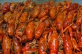 River crayfish on the counter of the Chinese market. Royalty Free Stock Photo