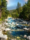 River Creek in forest canyon of Washington Royalty Free Stock Photo