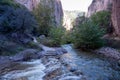 River crossing along the trail at the Catwalk Recreation Area of the Gila National Forest New Mexico USA Royalty Free Stock Photo